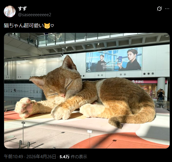 ナッツ tweet media