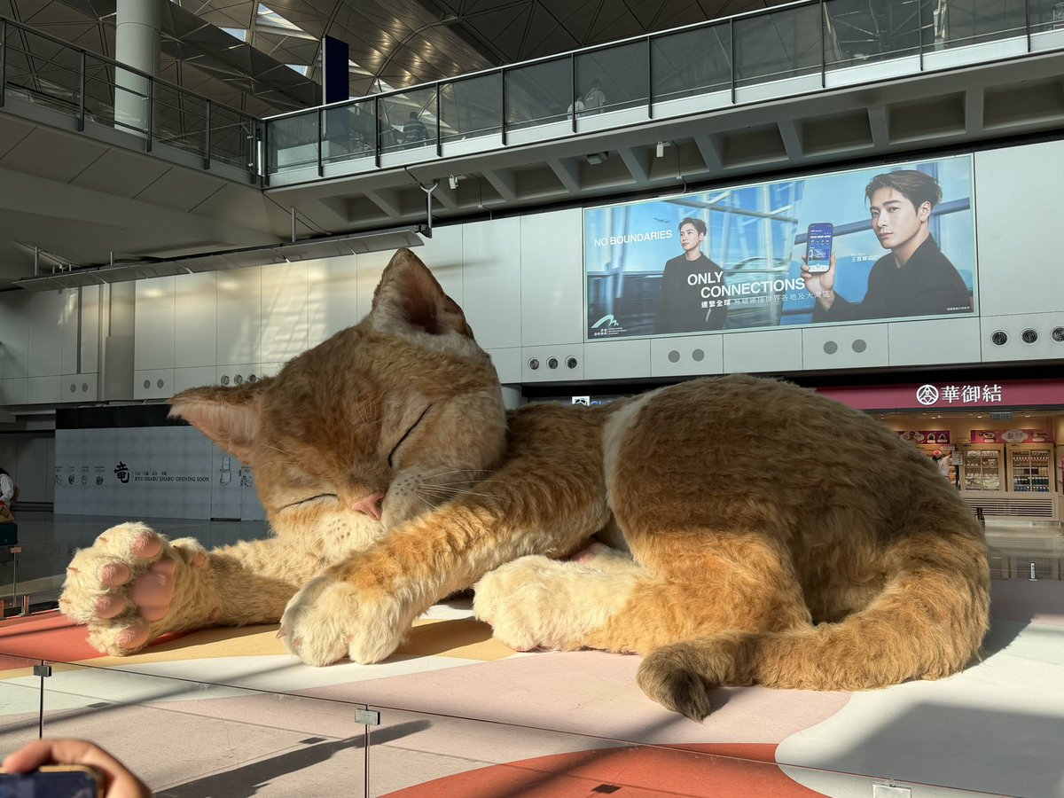 ナッツ tweet media