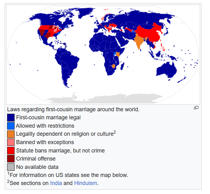 thefunnydogememes tweet media