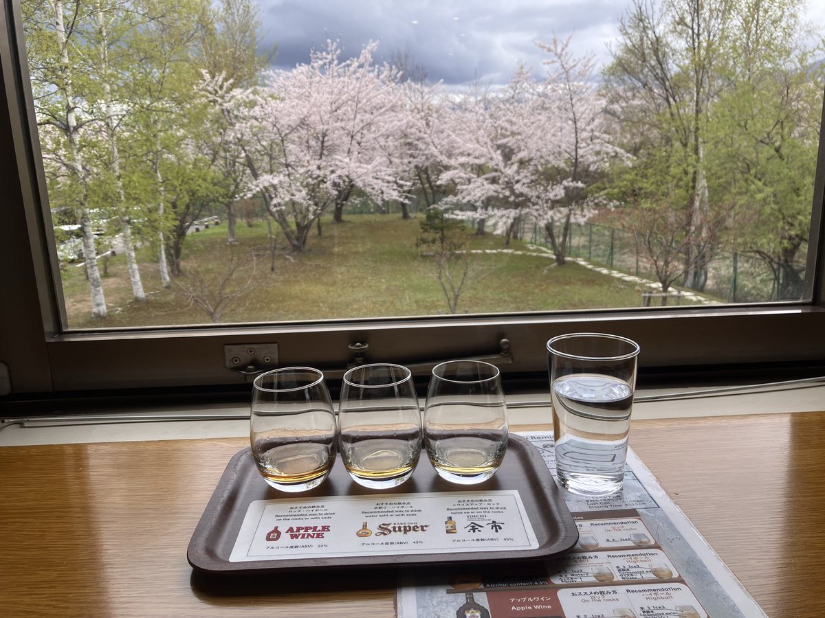 onsenmeshi2's tweet photo. 余市蒸溜所
見学後の試飲は、花見酒
贅沢なひと時🥃

余市川河川敷の桜は、��山とコラボ
北海道ならではの景色と思います🌸 https://t.co/I2RGJ47iYG