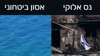 רועי כהן tweet media