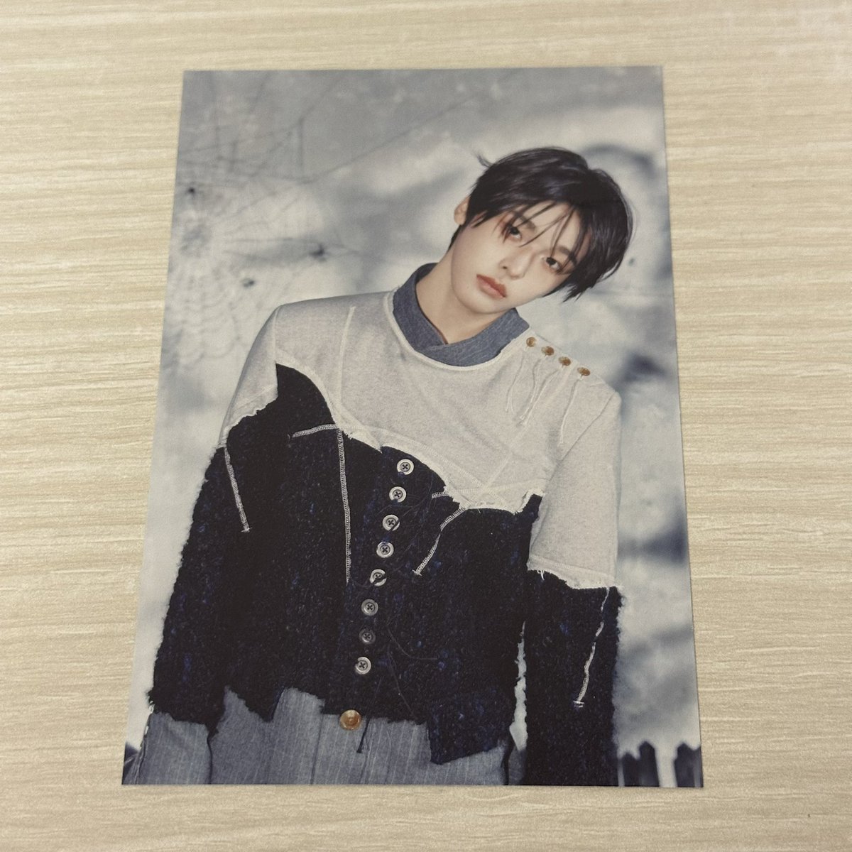 Fairyland tweet media