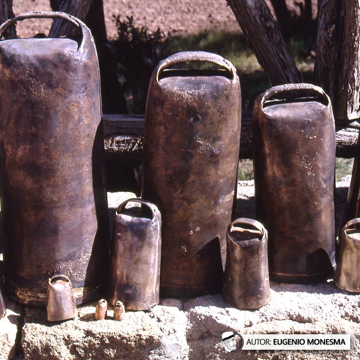 EugenioMonesma's tweet photo. 🔔🐐 Sin los #CENCERROS, los pastores estaban "ciegos" en el monte y el rebaño perdido.
En 1995 tuve la oportunidad de descubrir cómo se elaboraba desde cero este complejo elemento en el taller de Antonio Sanmartín.
📽️ Documental COMPLETO (10') aquí: https://t.co/vgTDPGa9CV https://t.co/tXIGYFhHiD