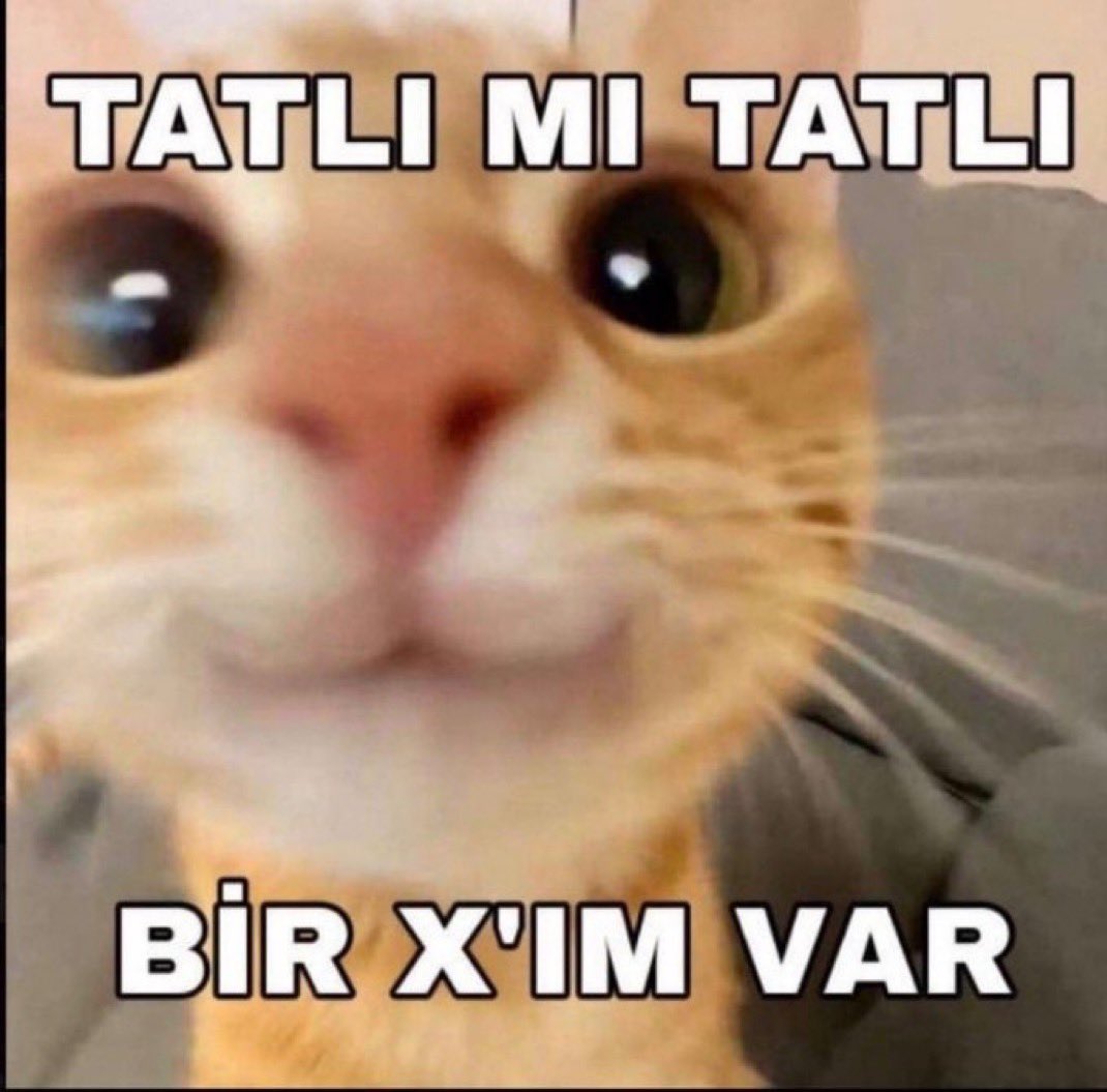 Yildizsu ✮⋆˙ tweet media