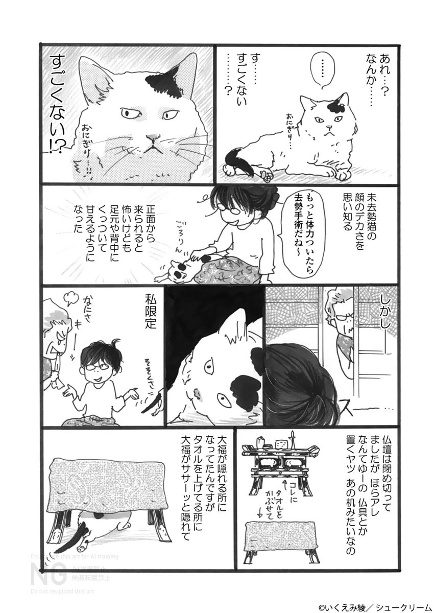 OUR FEEL（アワフィール） tweet media