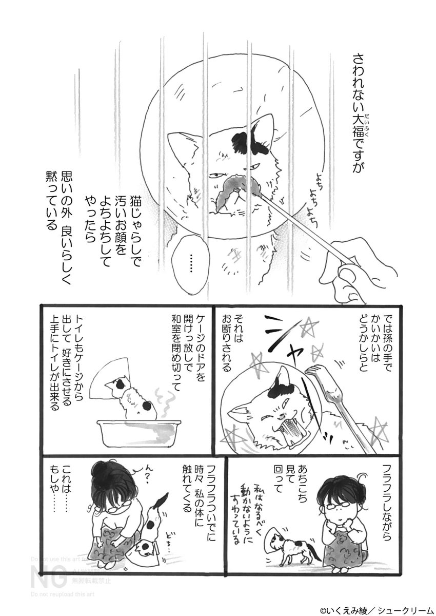OUR FEEL（アワフィール） tweet media