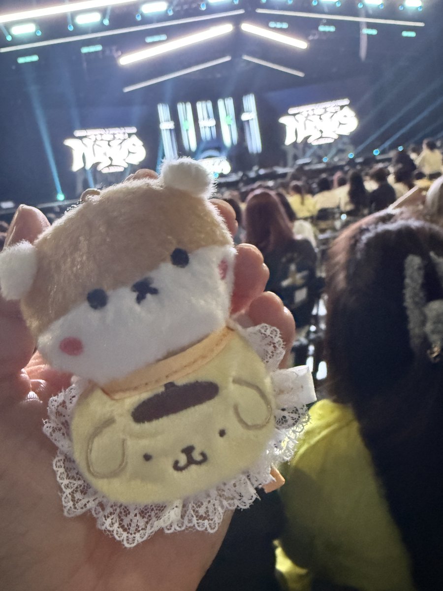 유청초 tweet media