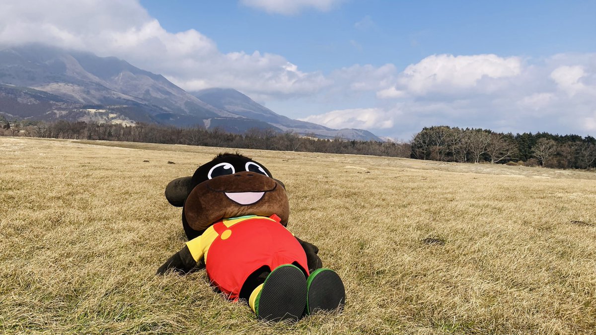 おおいたぶん太くん【県庁８階畜産課】 tweet media