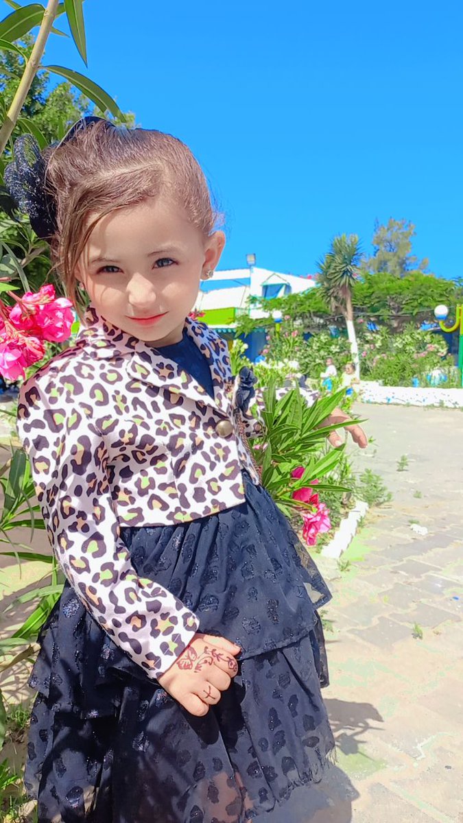 huda ahmed Gaza tweet media