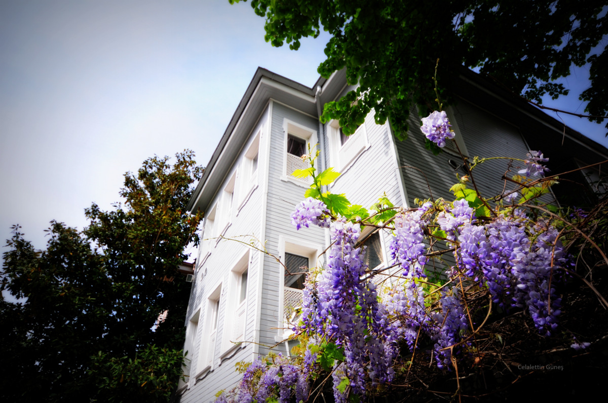 Celalettin Güneş tweet media