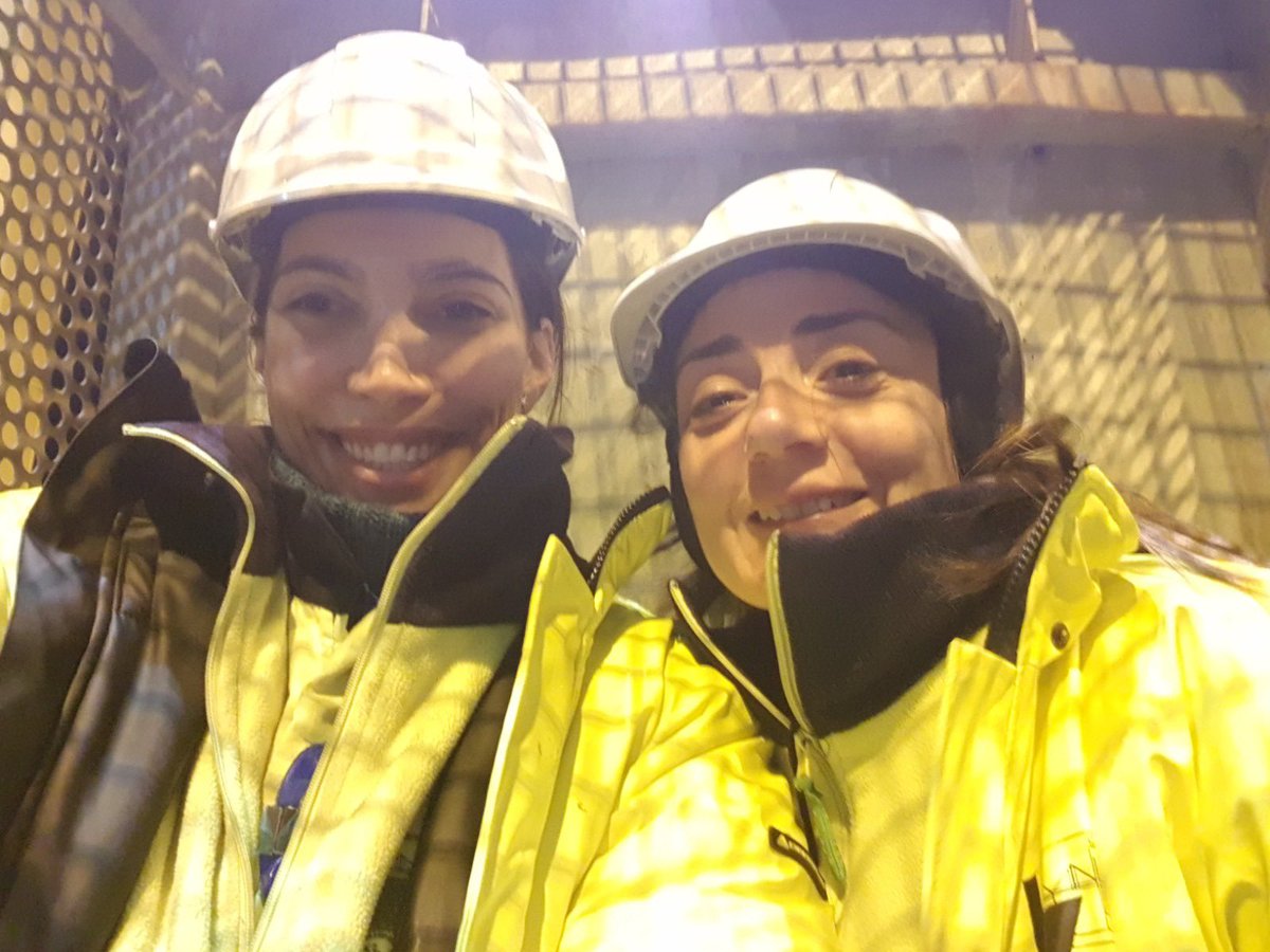 anesco_es's tweet photo. 📉 La #estiba española reduce la accidentalidad desde 2021.
En este #DíaMundialSeguridadSaludTrabajo, en #ANESCO celebramos estos datos y nos sumamos al enfoque de la OIT: la seguridad hoy también es bienestar mental y prevención de riesgos psicosociales. https://t.co/1rHNONUlWz