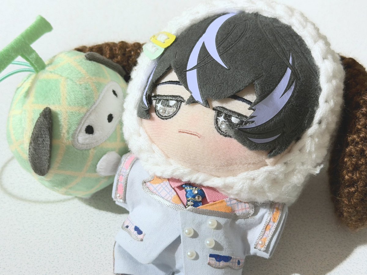 200円で獲れたメロンポチャッコ🍈