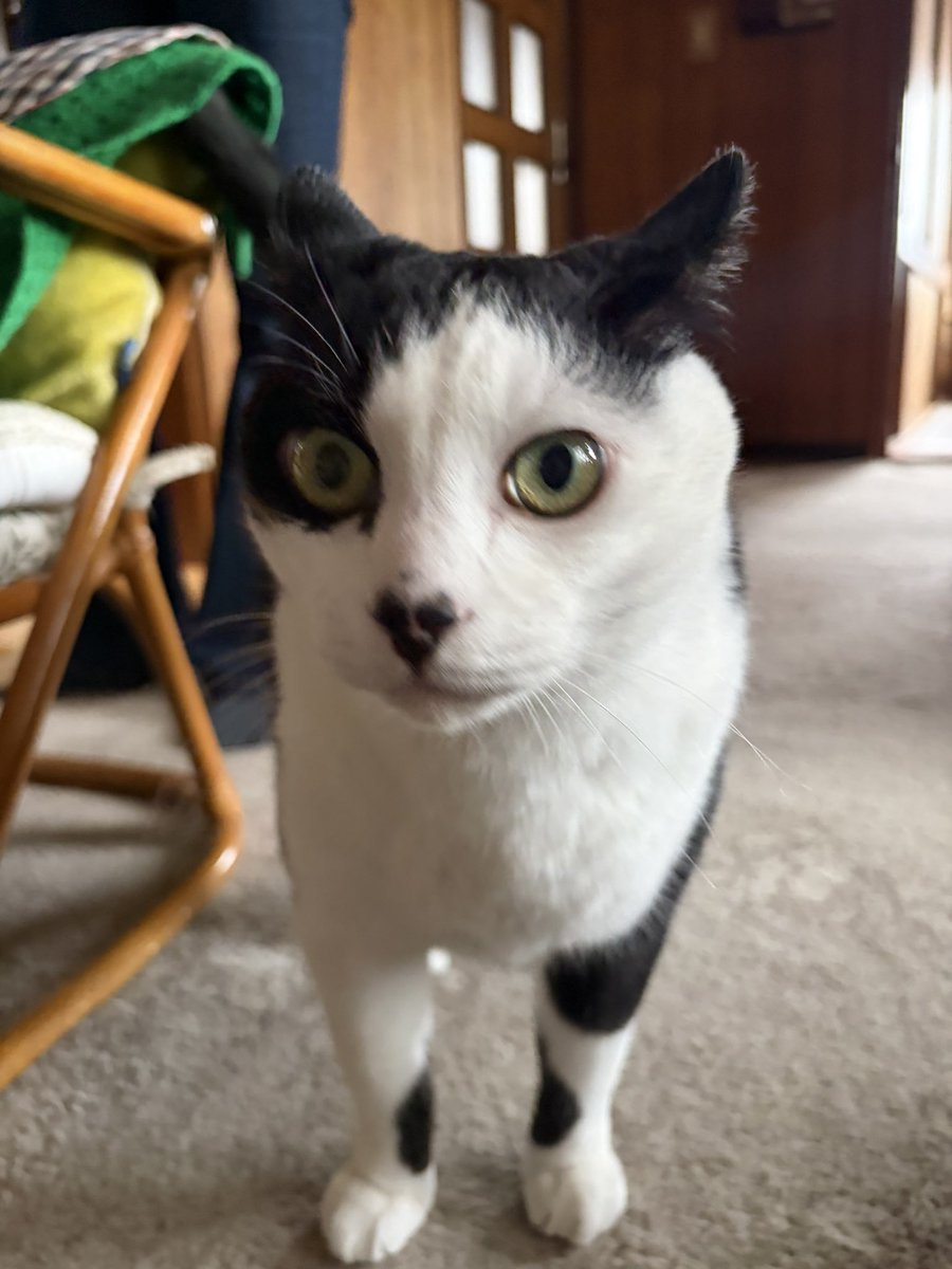 소미:)♡ｿﾐ tweet media