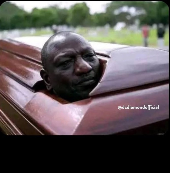 Blackoo! tweet media