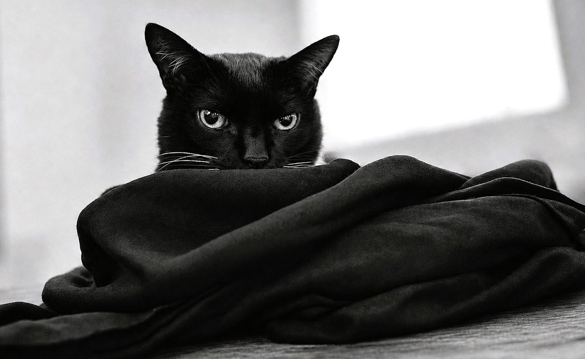 Sandy Welch tweet media