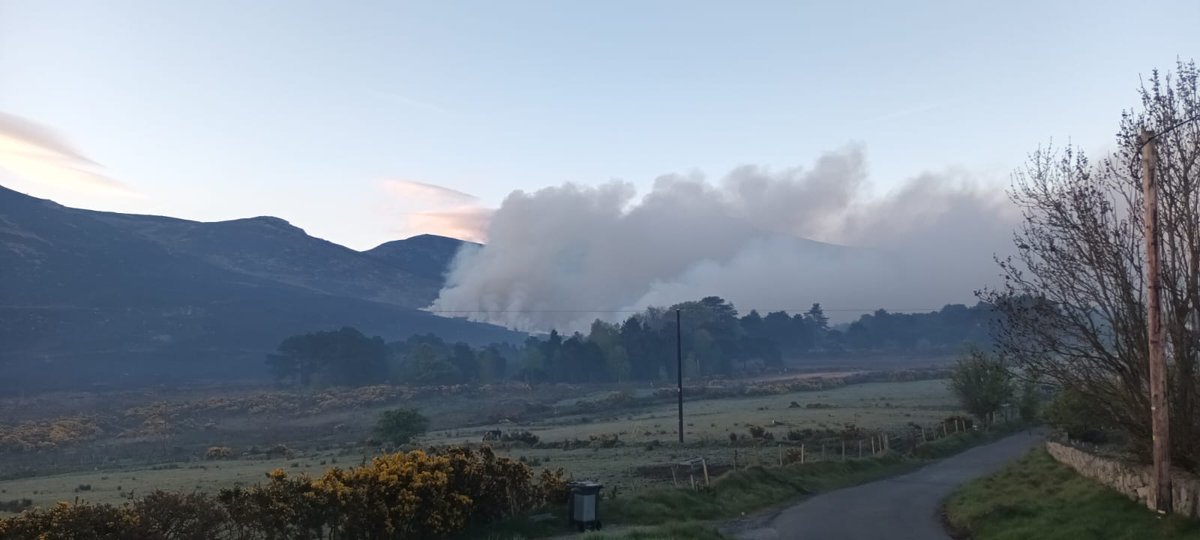 Ciarán Dunbar tweet media