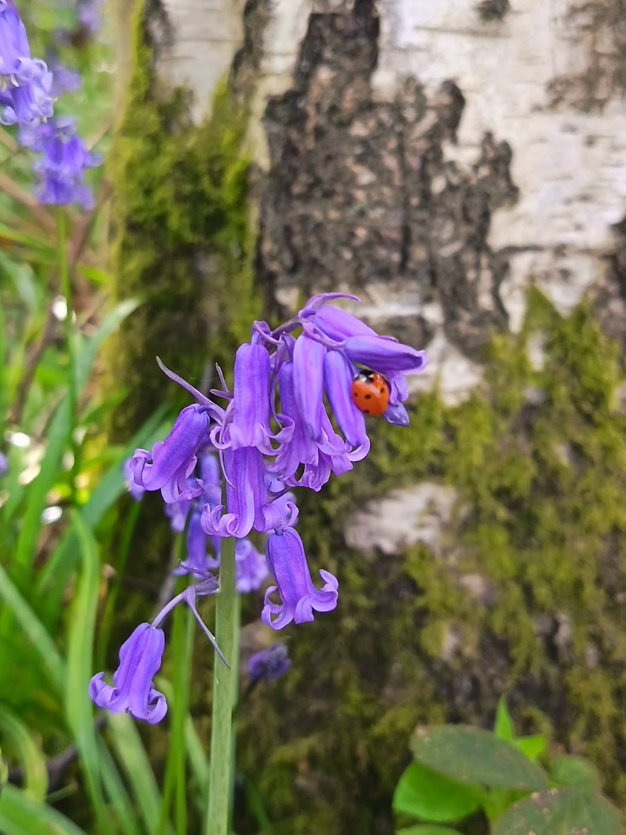 #TuesdayBlue https://t.co/jb8LmVcDdD