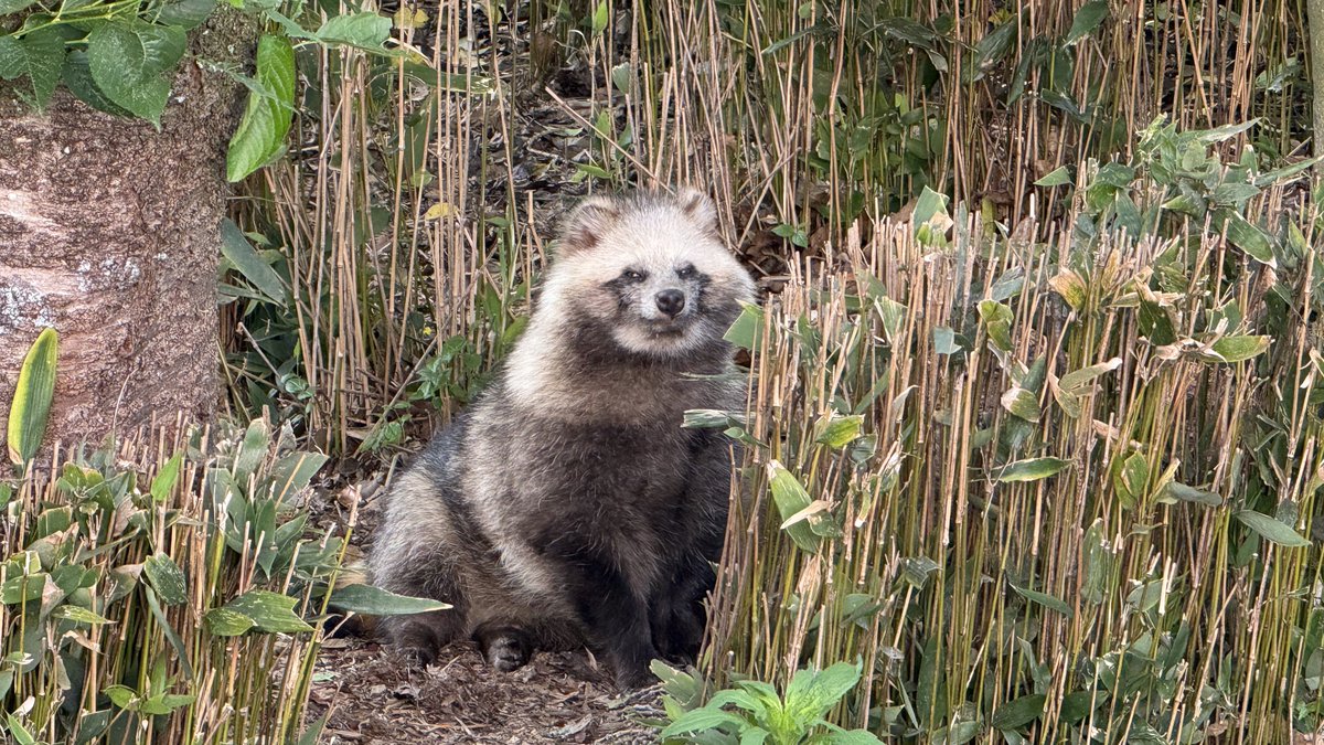 名無し tweet media