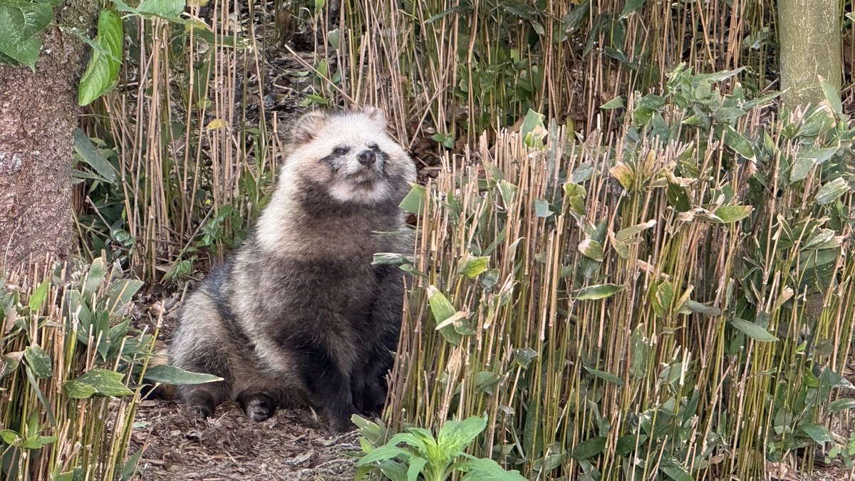 名無し tweet media