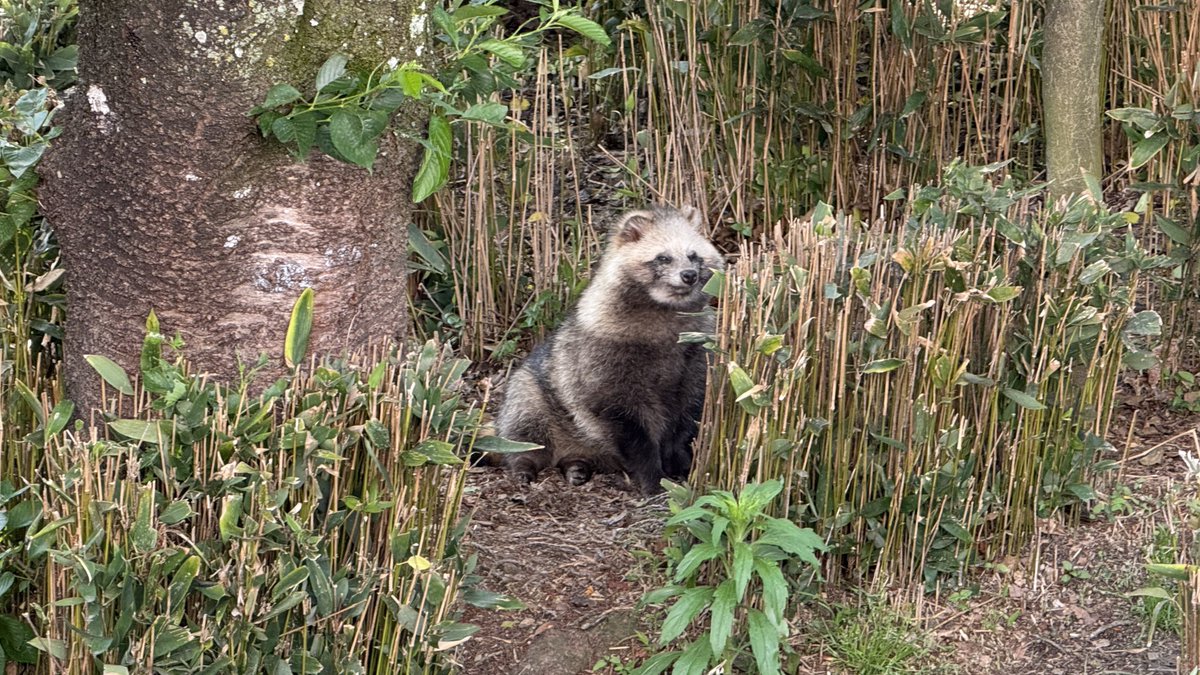 名無し tweet media