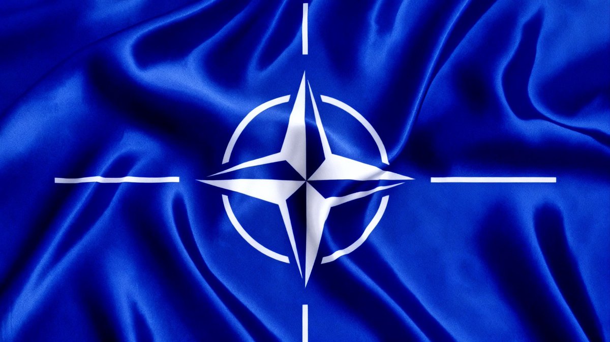 S. Blackwood | Briefs tweet media