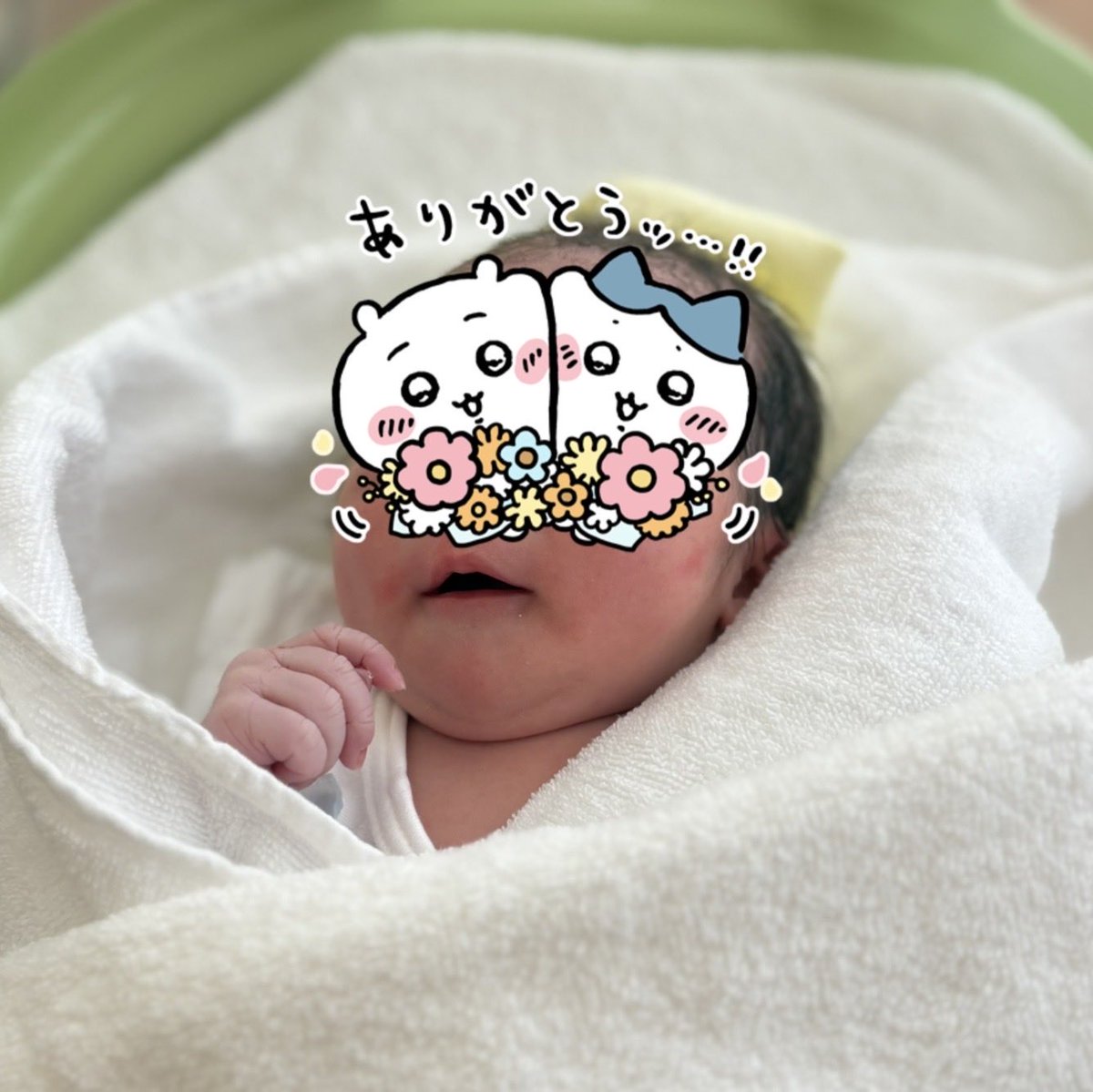 さく☺︎1y🦖+0m🦕 tweet media