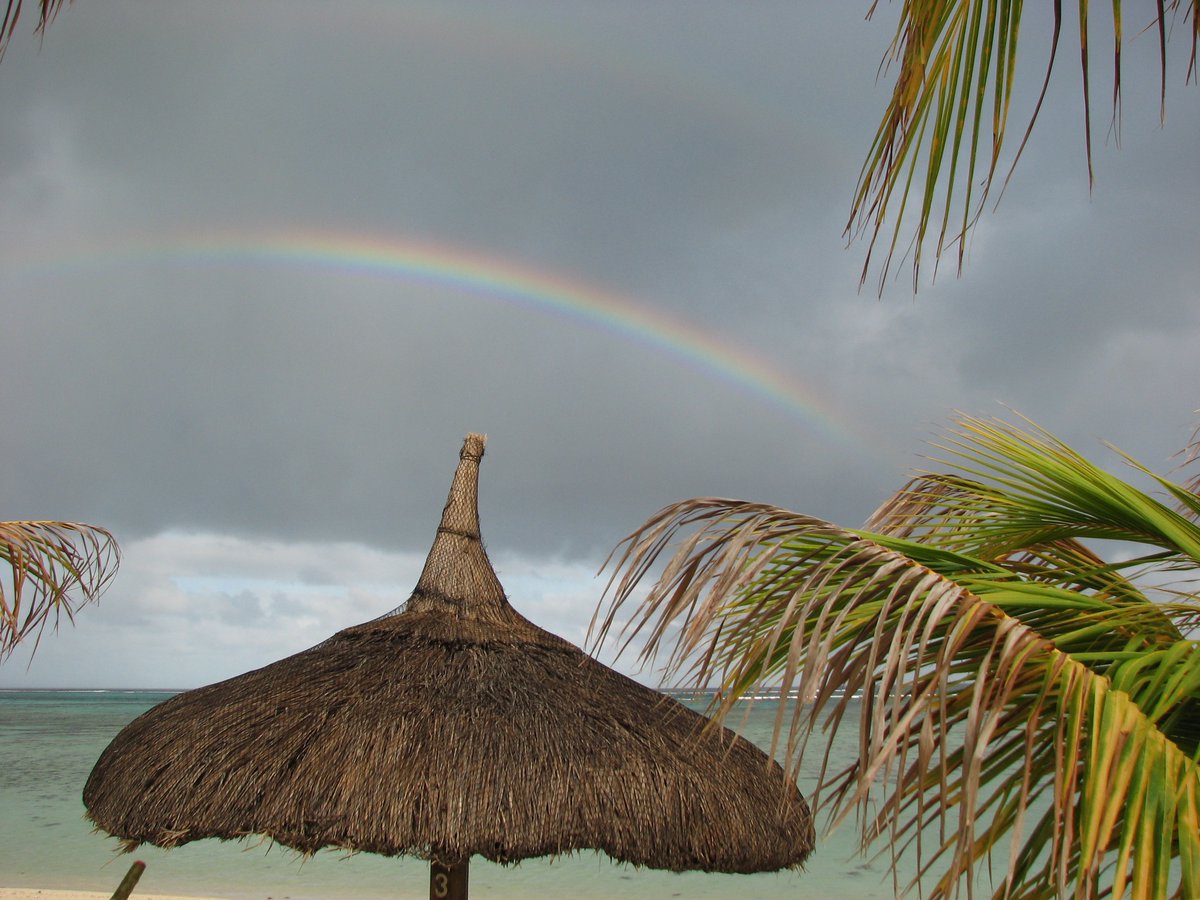 Mauritius Island tweet media