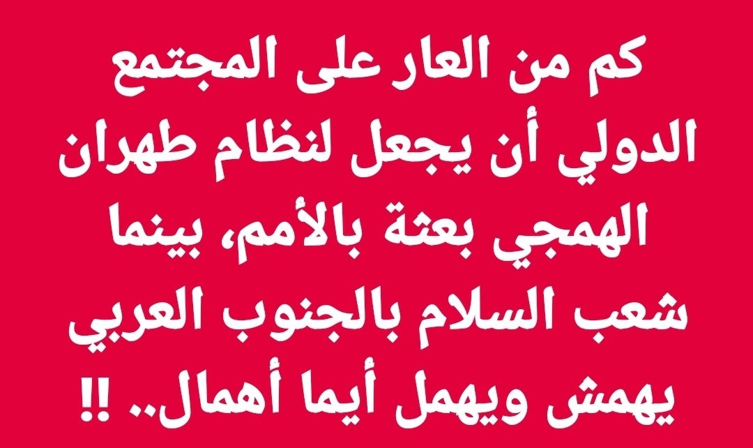 Fedaa Al Halabi tweet media