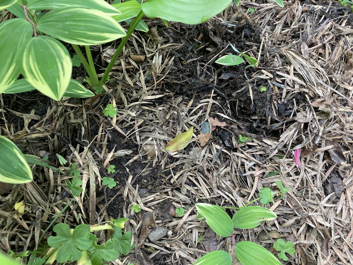 タロ兵衛〜@tokiyorinao tweet media