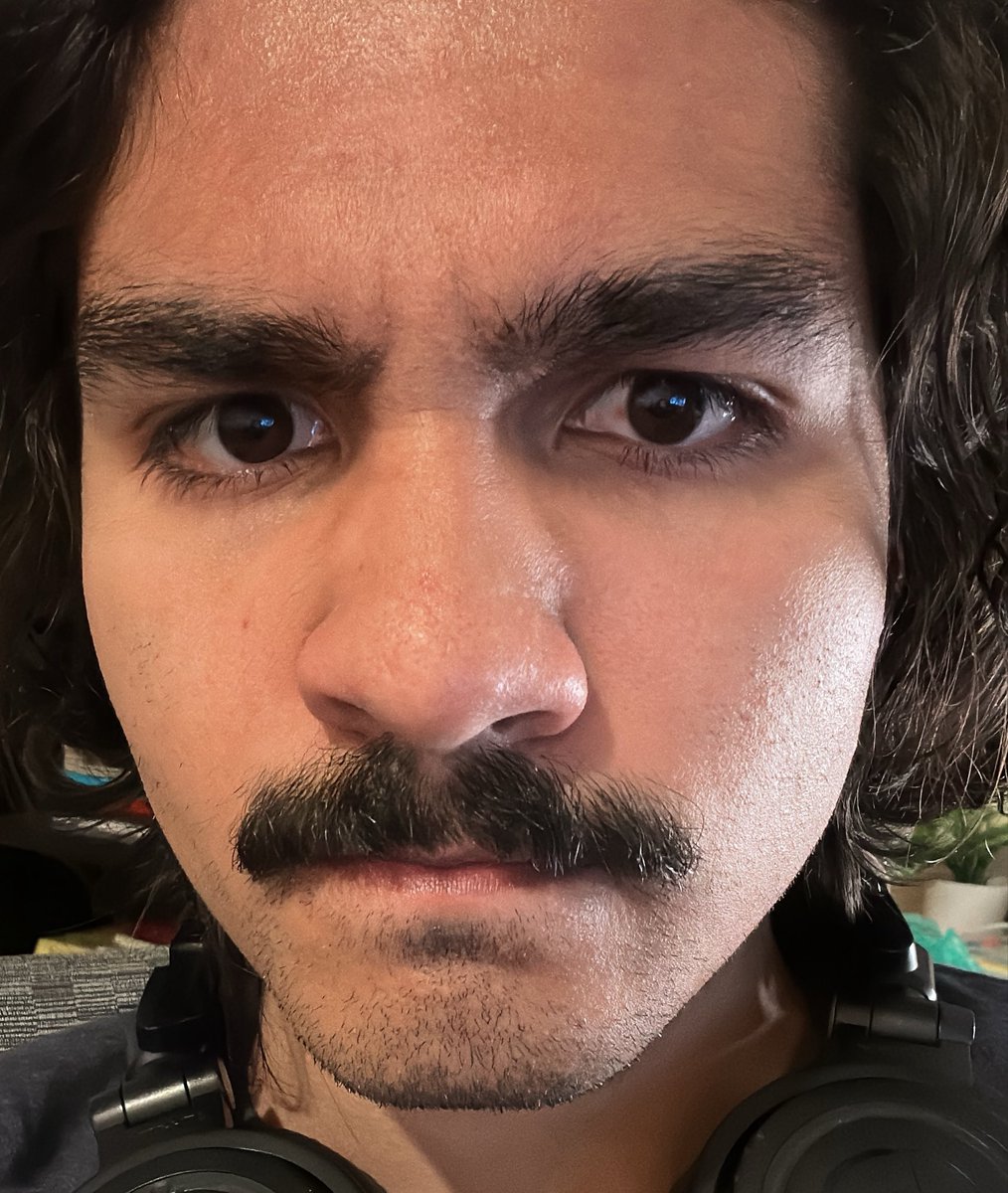 Bitzel tweet media