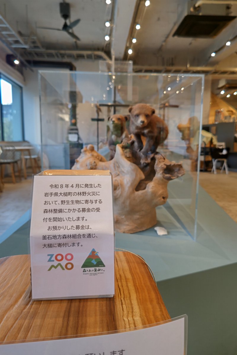 moriokazoo's tweet photo. 「大槌町の森と野生生物を救おう」募金へのご協力をお願いします
令和8年4月の大槌町林野火災により、多くの野生生物が住処を失いました。森林再生を支援する募金を開始しています。お預かりした募金は「釜石地方森林組合」へ寄付し、野生生物が暮らせる森づくりに役立てていただきます。 https://t.co/eww8d5FyBj