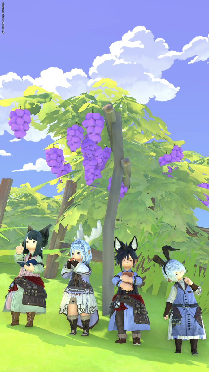 あおて@Aegis tweet media