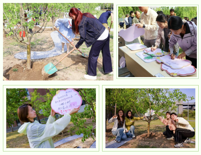BUPT1955's tweet photo. On April 23, #BUPT held the "Spring Renewal" tree-planting event and "Labor Cultivation" tea talk by the scenic lake at Shahe Campus. Students came together to plant 20 trees, experiencing the joy of labor and teamwork. The event highlighted the importance of labor education in shaping character and fostering holistic development. Students shared their experiences and ideas on labor education, emphasizing its role in personal and community growth. 🌳💪 #LaborEducation #YouthDevelopment