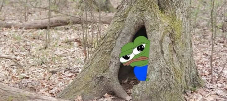 OXMallam.hl 🤘🌪️ tweet media