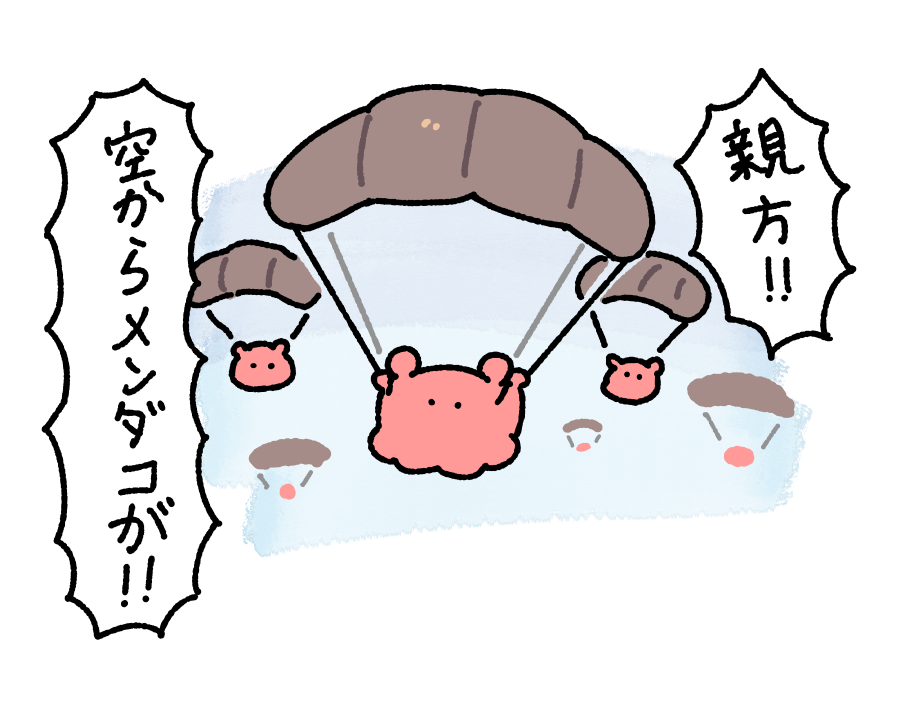 まいにちめんだこ (@daily_mendako) on Twitter photo 