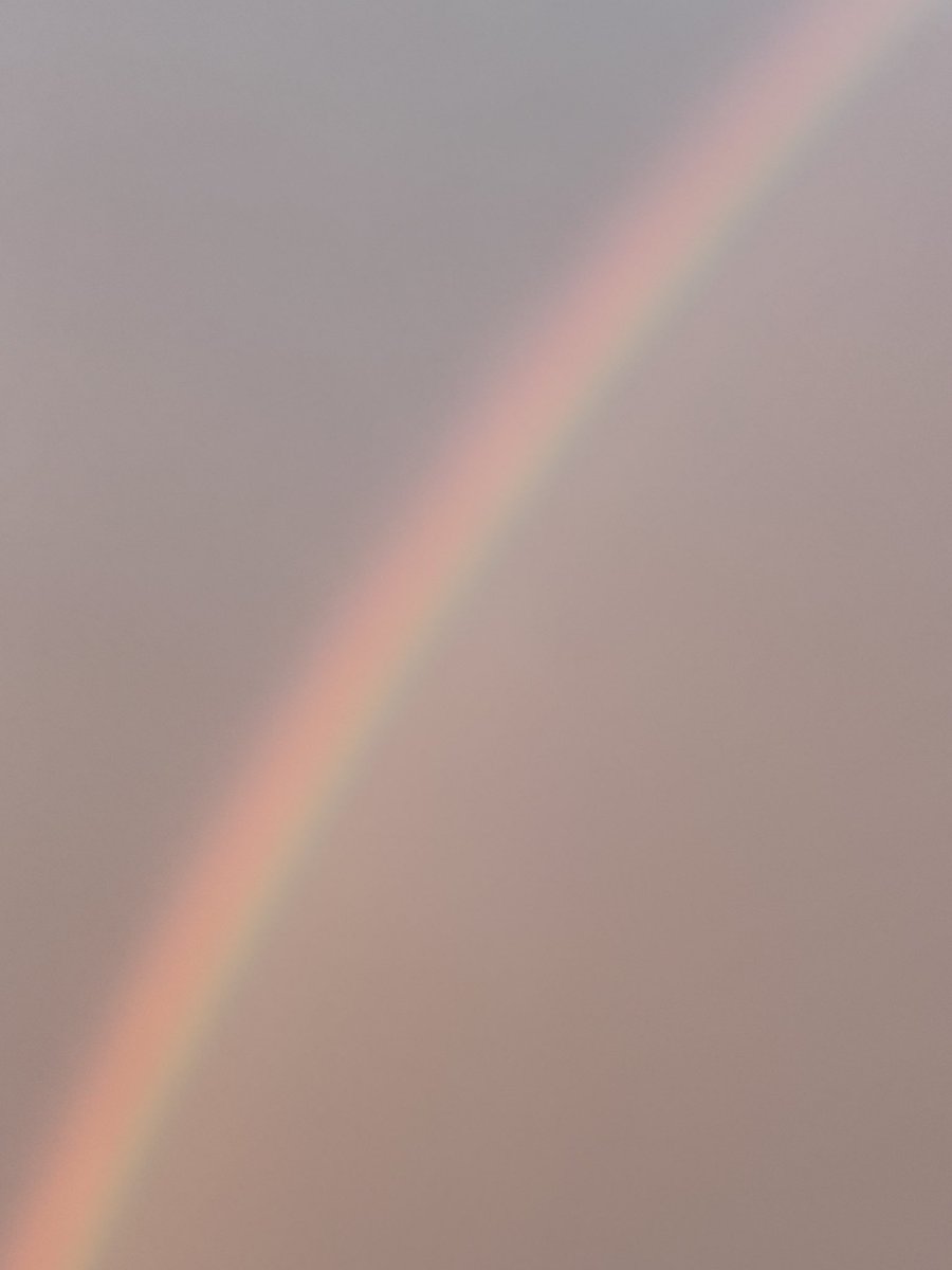 mc_ringo__'s tweet photo. 昨日の虹綺麗だったからみんなに見せたげる🌈あんなに大きいの初めて見た https://t.co/oQqjn2LL1G