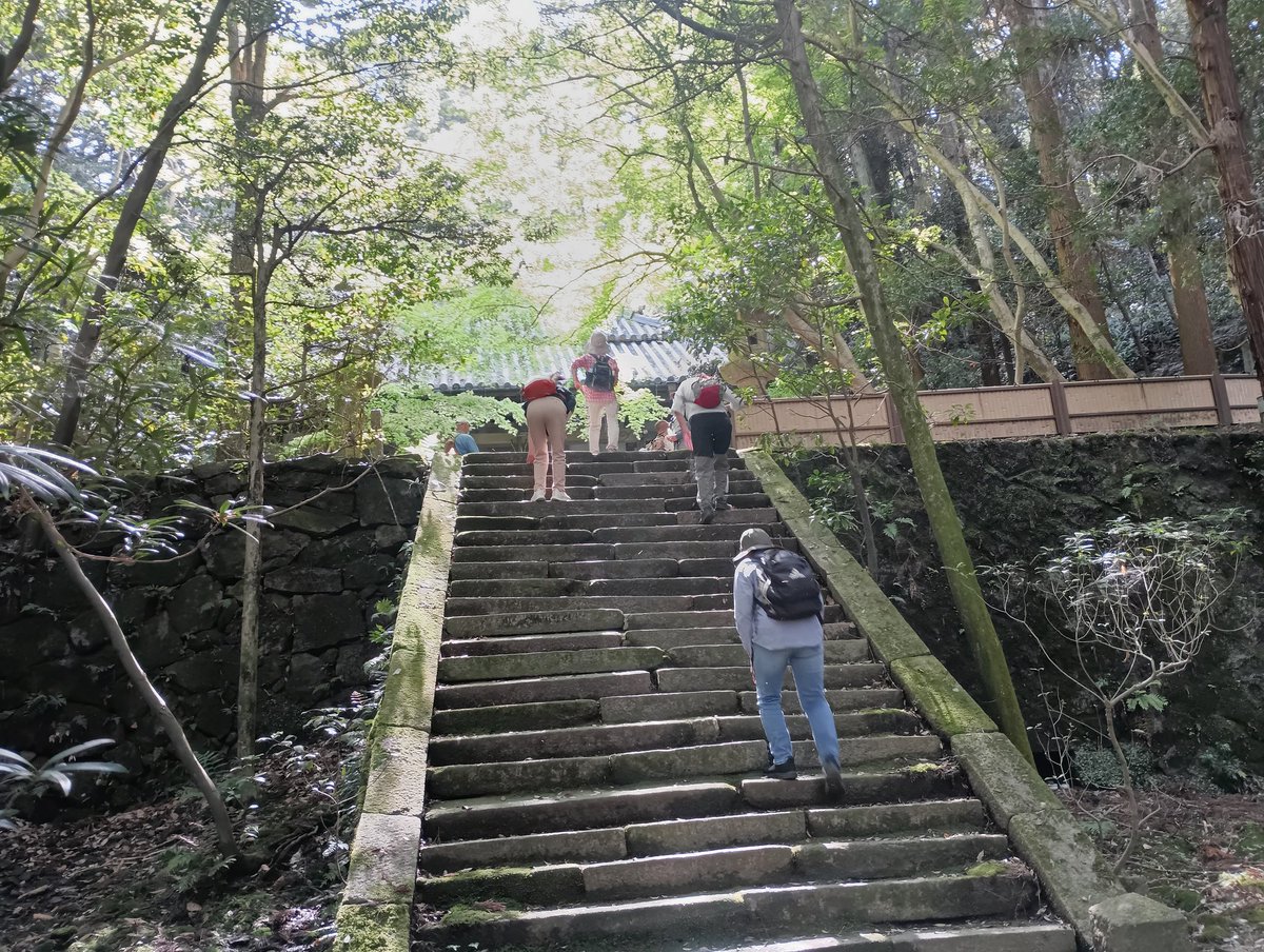 Ikoma_learning's tweet photo. 本日はいこま寿大学ハイキングクラブ6kmの授業でした。高山竹林園や高山八幡宮、長弓寺などのスポットを訪ねました。3班にわたって実施した生駒北部を巡る学びは今回で終了！
観光ボランティアガイドの皆様、お寺のご住職など、多くの方々に大変お世話になりました。ありがとうございました♪ https://t.co/IaJcaTtpa8