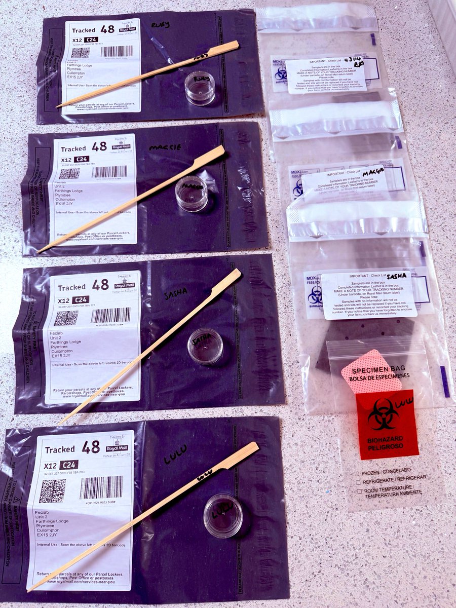 Lesley - FPL ⚽️🎶 tweet media