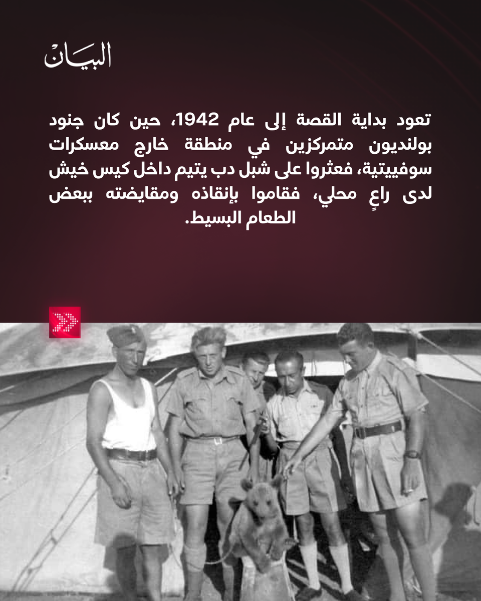 AlBayanNews's tweet image. الدب الذي حمل قذائف الحرب… القصة الحقيقية لأغرب جندي في التاريخ

albayan.ae/news/world/122…

#صحيفة_البيان
