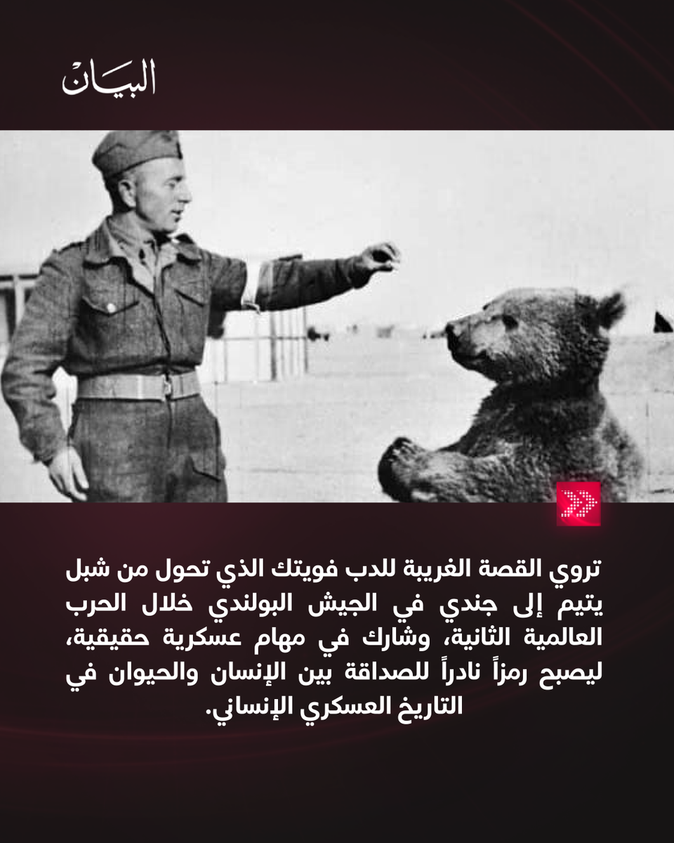 AlBayanNews's tweet image. الدب الذي حمل قذائف الحرب… القصة الحقيقية لأغرب جندي في التاريخ

albayan.ae/news/world/122…

#صحيفة_البيان