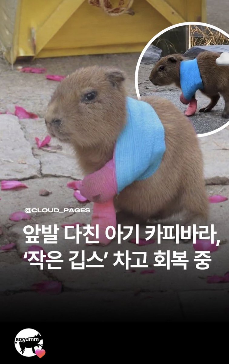 명언봇 tweet media