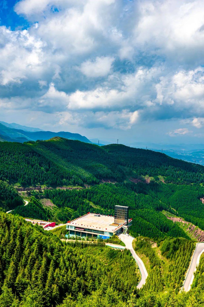 AHMAD SHEHADEH tweet media