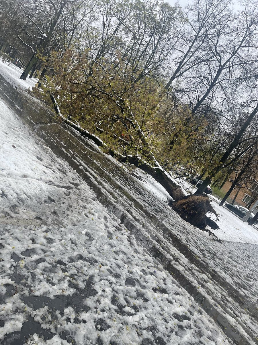 AnaGoldmann's tweet photo. @nikolaevdima83 https://t.co/nHw3JytWch