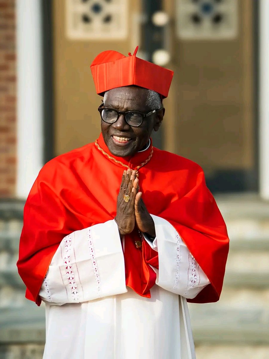 UcheMaryOkoli's tweet photo. "We need priests who are men of the interior life… not social workers or politicians.” 
- Cardinal Sarah ❤️ https://t.co/aR4hDAx5o9