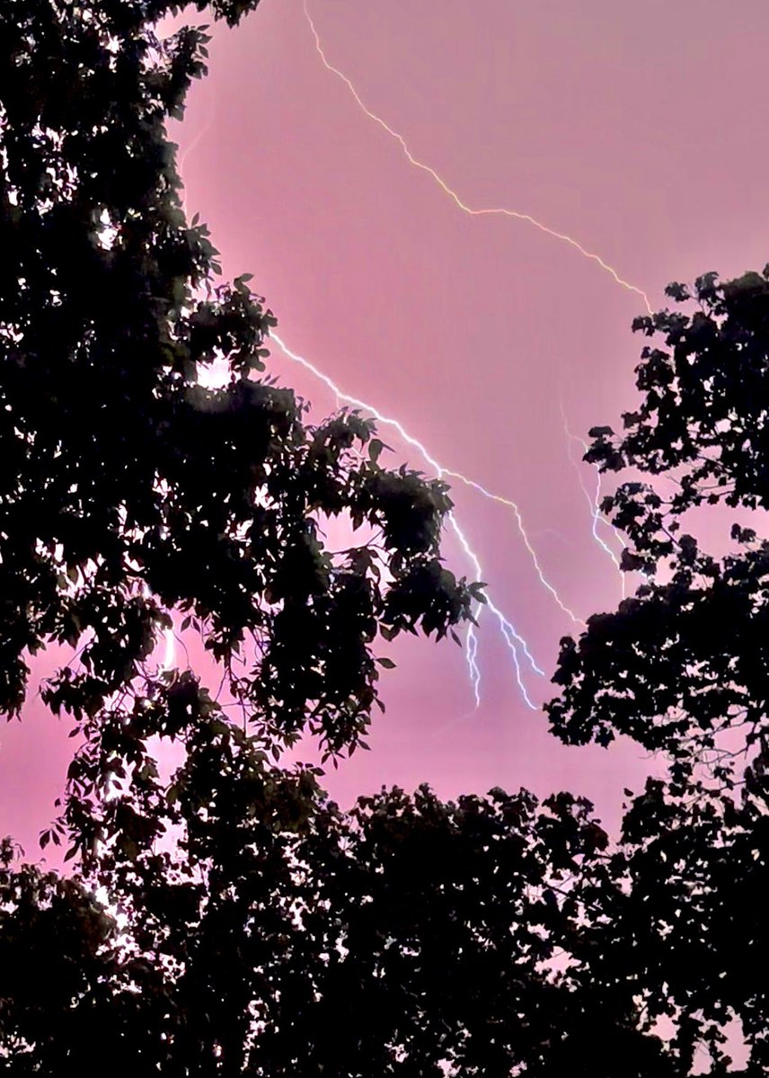 VolunTeen 🏈🏀🇺🇸 tweet media