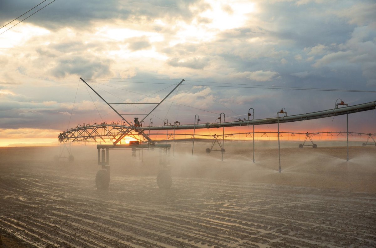 HighCountryObservations tweet media