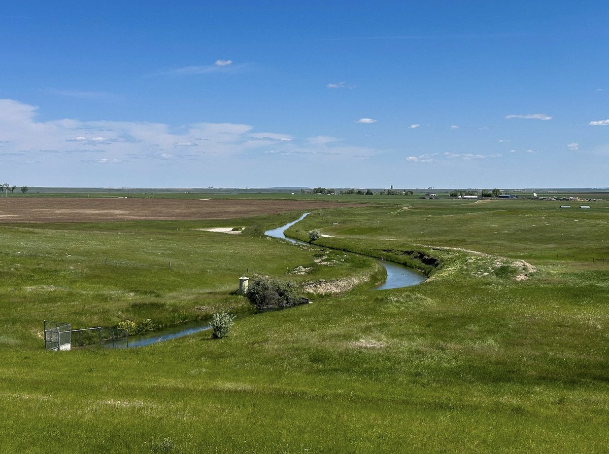 HighCountryObservations tweet media