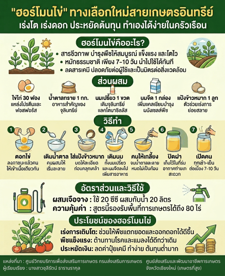 วิธีทำ"ฮอร์โมนไข่" ทางเลือกใหม่สายเกษตรอินทรีย์ : อัตราส่วนและวิธีใช้🌱🥚🌿#กรมส่งเสริมการเกษตร  #ดินและปุ๋ย #ลดต้นทุนการผลิต