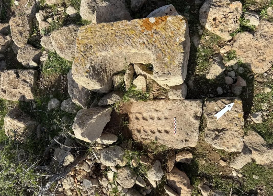 DAntiquis's tweet image. Archaeologists in Libya’s abandoned city of Ptolemais have uncovered more than 100 simple game boards carved into stone, likely used by shepherds passing the time while watching their flocks.

heritagedaily.com/2026/04/over-1…

#Archaeology #Ptomlemais #Games