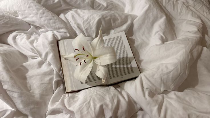 llie ₍^. .^₎⟆ tweet media